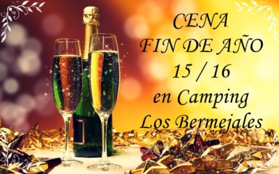 FIN DE AÑO EN CAMPING LOS BERMEJALES