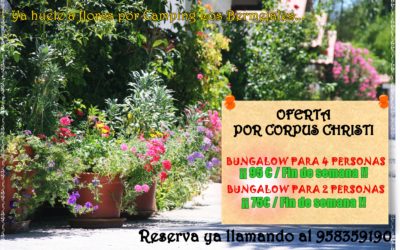 Oferta fin de semana en bungalow por Corpus Christi