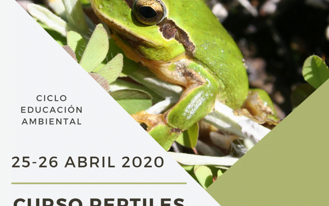 Curso ANFIBIOS Y REPTILES de Andalucía ABRIL 2020