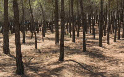 Planificar una escapada de fin de semana